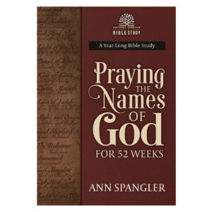 Praying the Names of God for 52 Weeks paperback Bible study by Ann Spangler